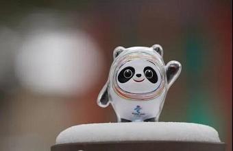 “冰墩墩”、、、“雪容融”商标也抢手，，，已被成功注册！！